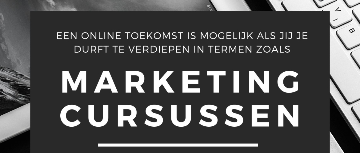 IMU + Plus online marketing cursussen IMU + Plus online marketing cursussen