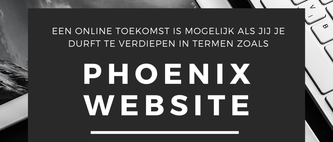 Phoenix Software Review IMU Phoenix Software Review IMU