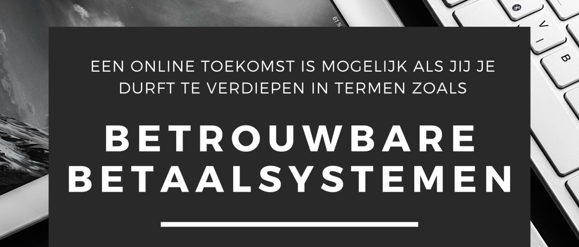 Promotie voor de Plug & Pay betaal software Promotie voor de Plug & Pay betaal software