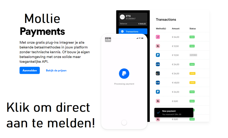Plug & Pay koppel je met Mollie. Hier is helaas geen andere optie voor momenteel, dus zonder Mollie kun jij ook niet met Plug & Pay aan de slag.