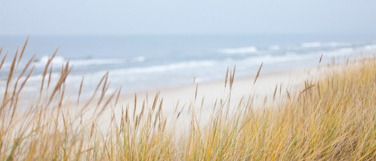 duinen achtergrond