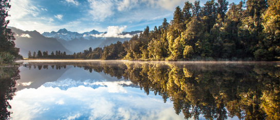 onderscheidingsvermogen