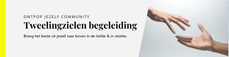 tweelingzielen-begeleiding