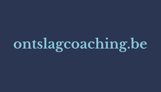 ontslag coaching online 1 1 1