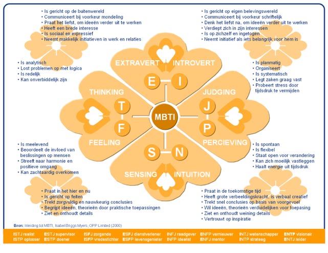 MBTI, De Myers-Briggs Type Indicator op identiteitsnivau.