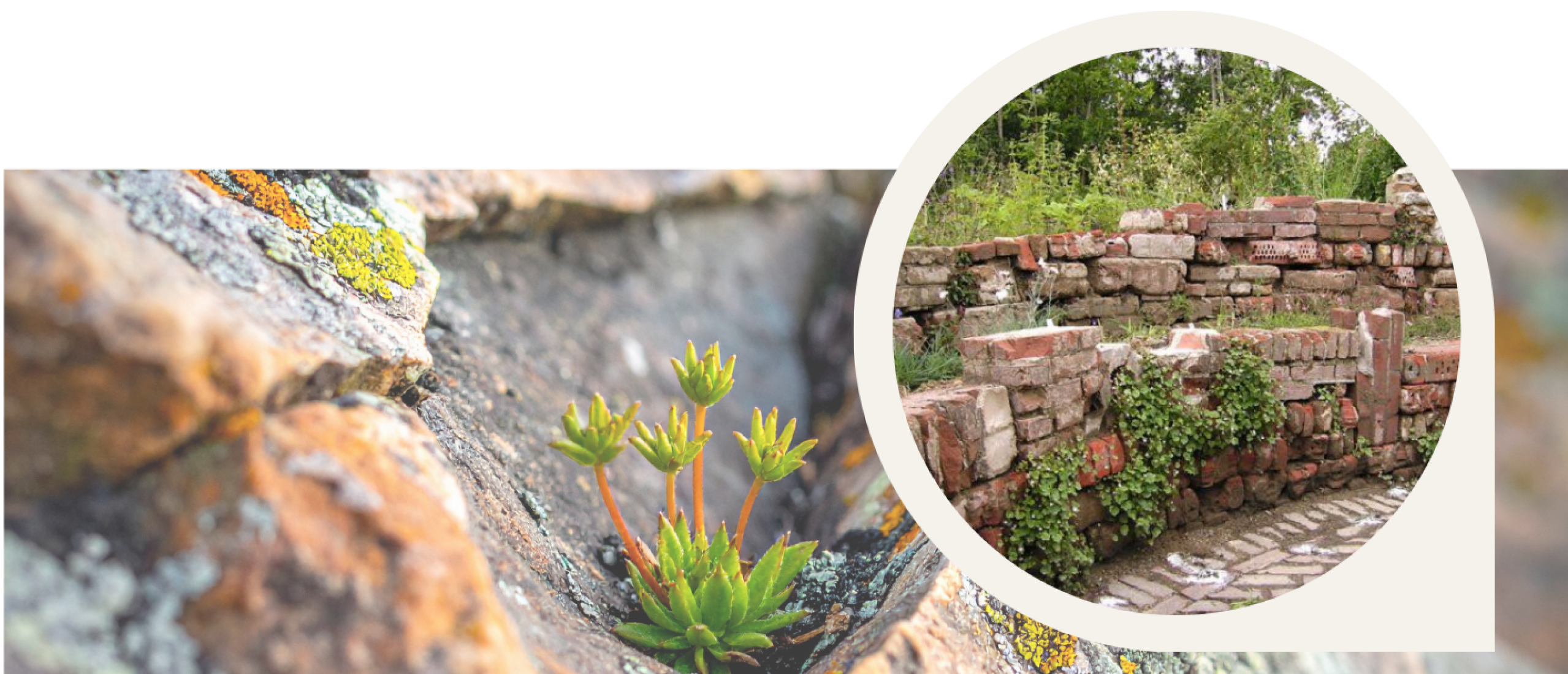 groen-geluk_natuurbouwstenen_stapelmuur