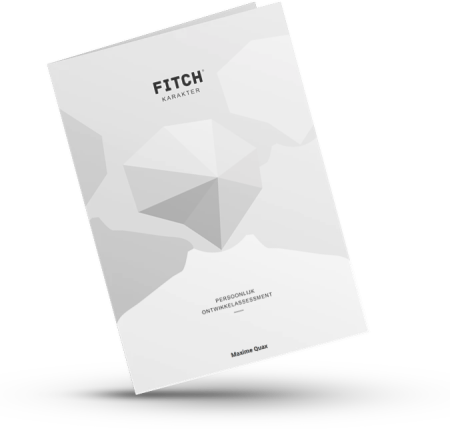 Fitch Assessment
