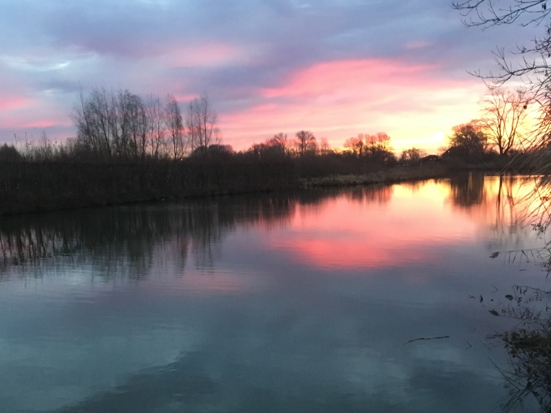 op-de-linge by night