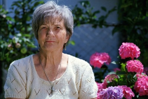 wat is de hoogte van alimentatie