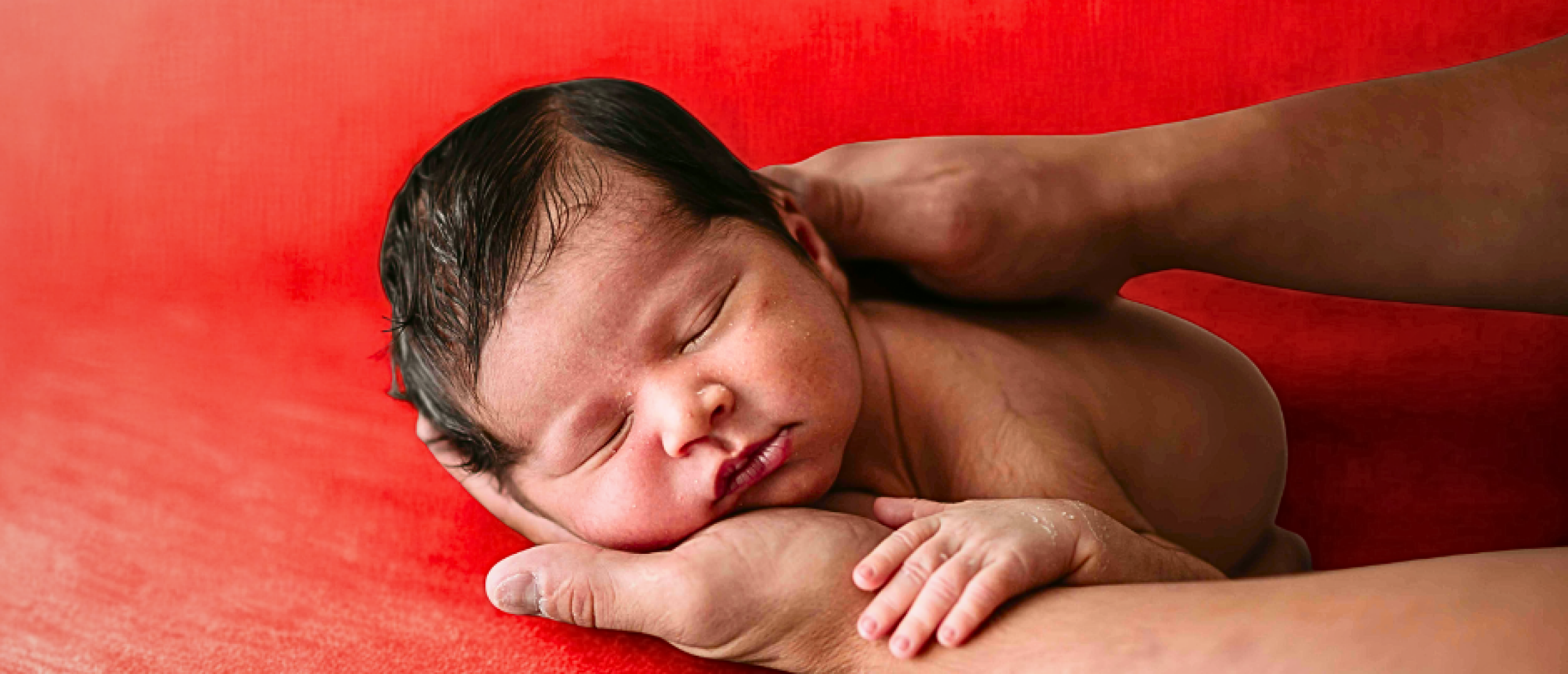 Abortus, Miskramen en Stilgeboorte