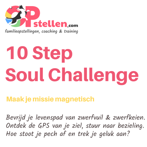 Opstellen.com The 10 Step Soul Challenge