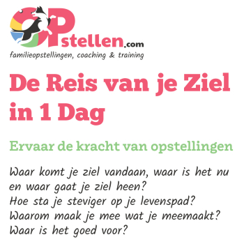 Opstellen.com: De Reis van je Ziel in 1 Dag