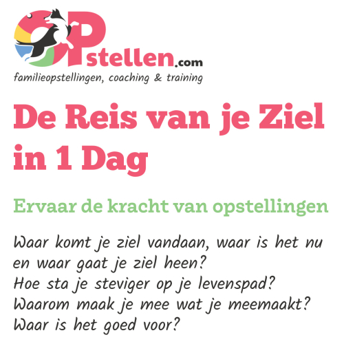 Opstellen.com: De Reis van je Ziel in 1 Dag