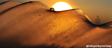 Lichtheid in je donkerheid