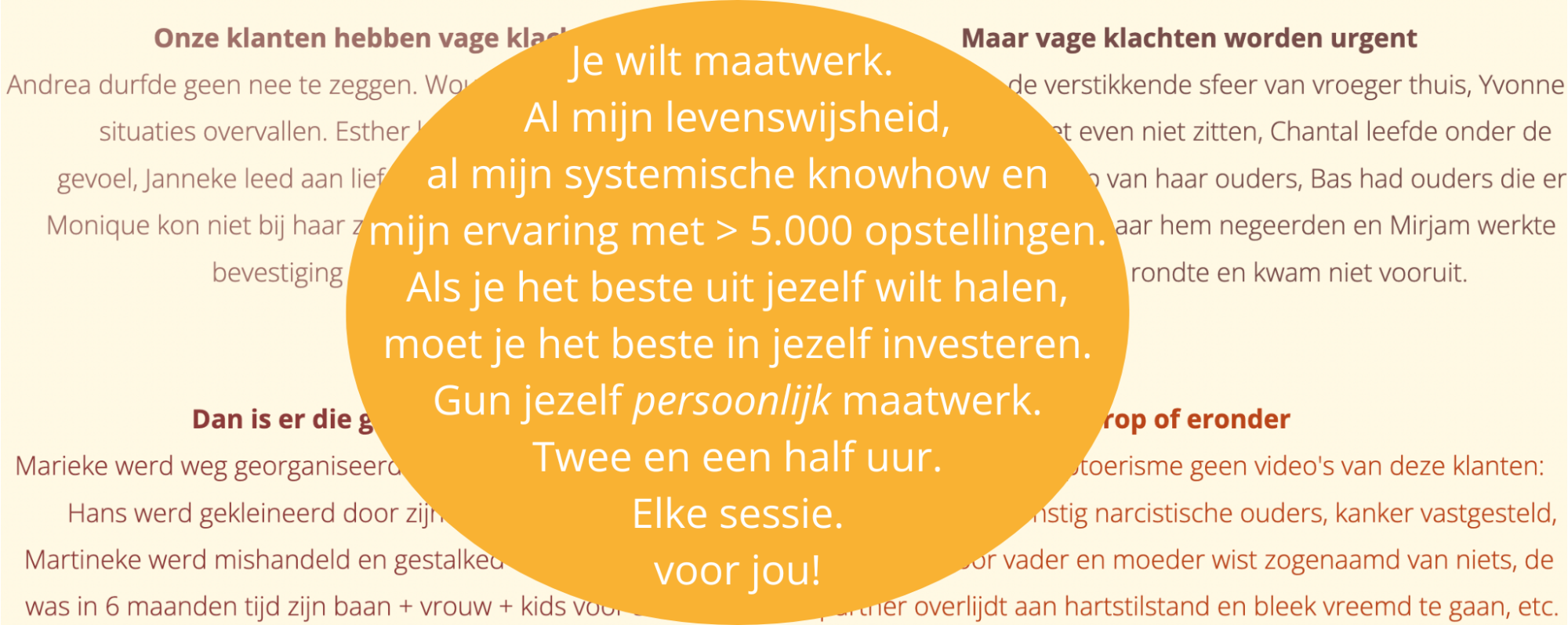 Systemische VIP-coaching