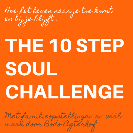 The 10 Step Soul Challenge www.opstellen.com