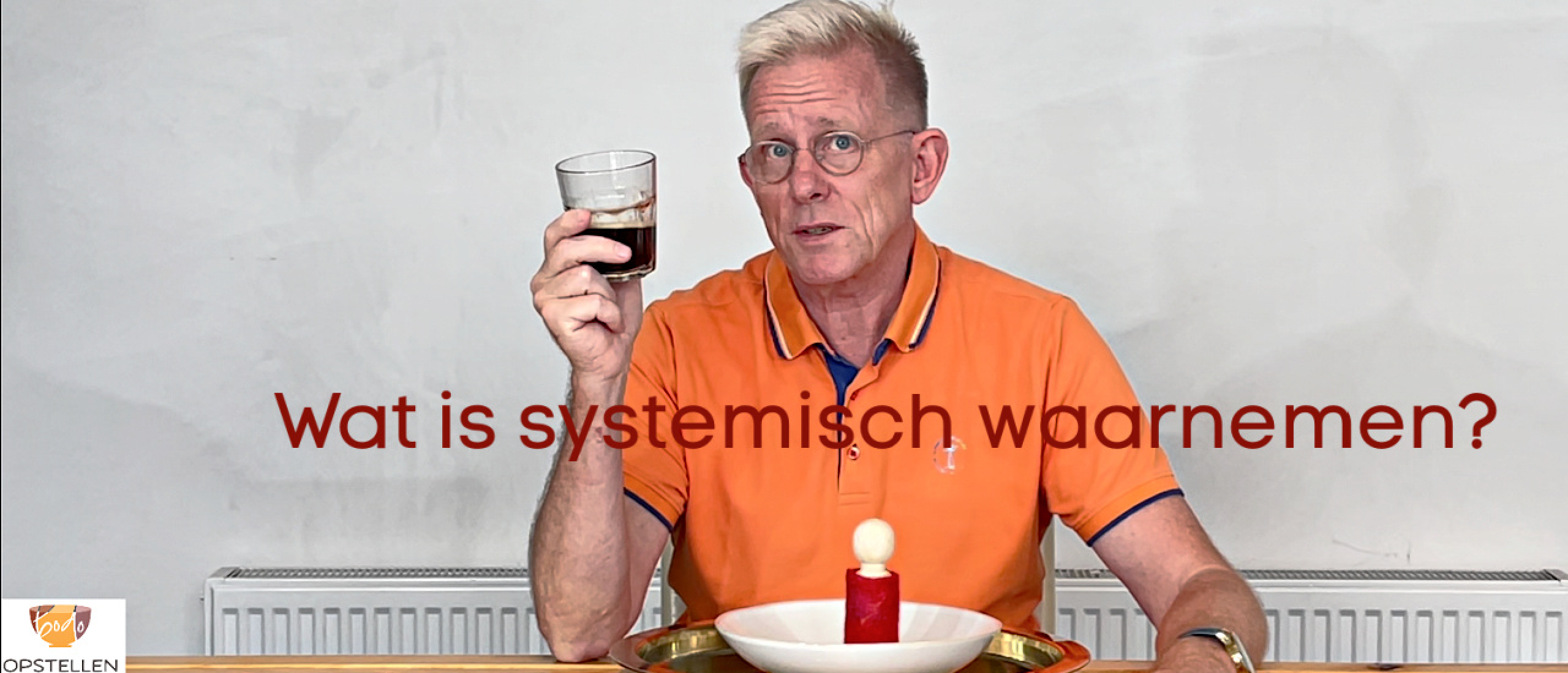 Wat is systemisch waarnemen?