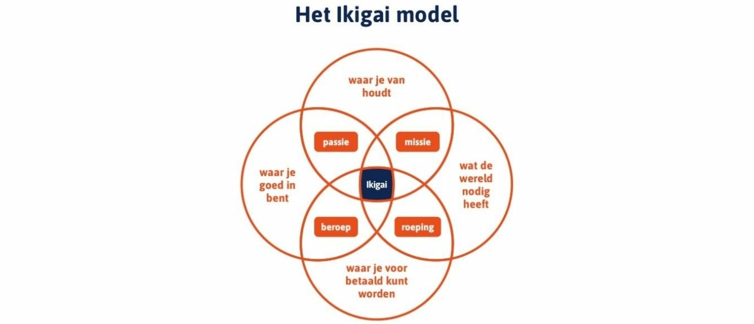Kansrijke beroepen 2025-2026: ontdek welke toekomst past bij jouw talenten