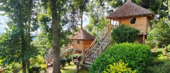 Place to stay for Gorilla Trekking in Bwindi