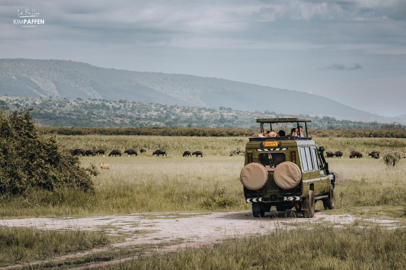 Akagera National is a must visit Park for Big Five Game Drives