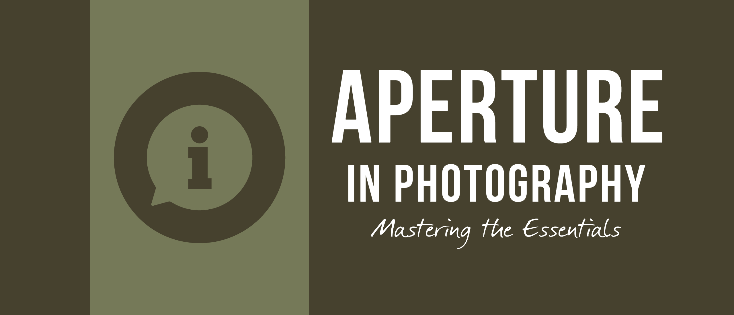 Understanding Aperture in Photography: Mastering the Essentials
