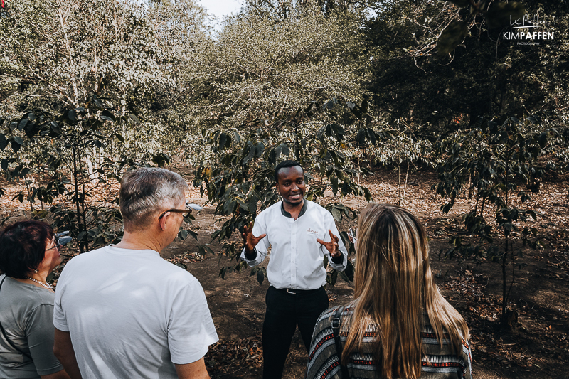 Arusha Coffee Tour Northern Circuit Tanzania