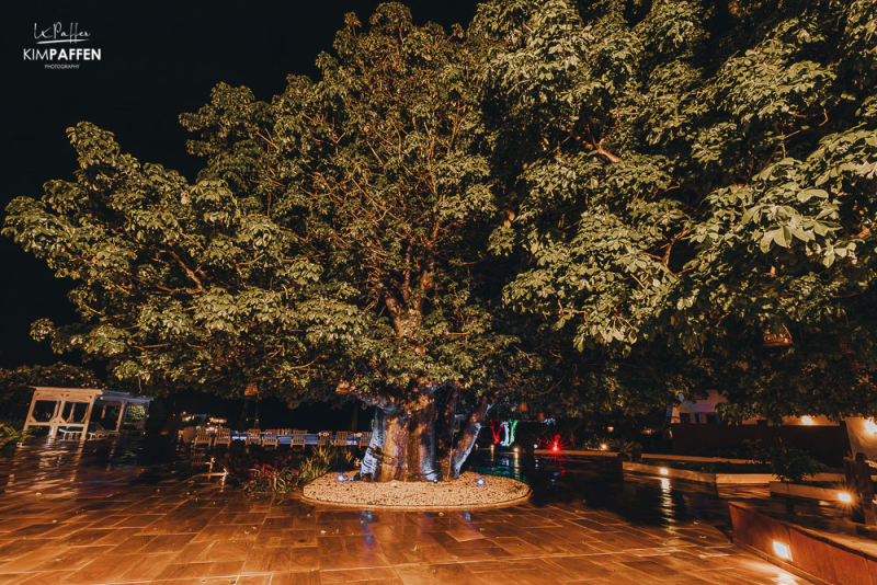 Relax under the shade of Baobab trees at Essque Zalu Zanzibar