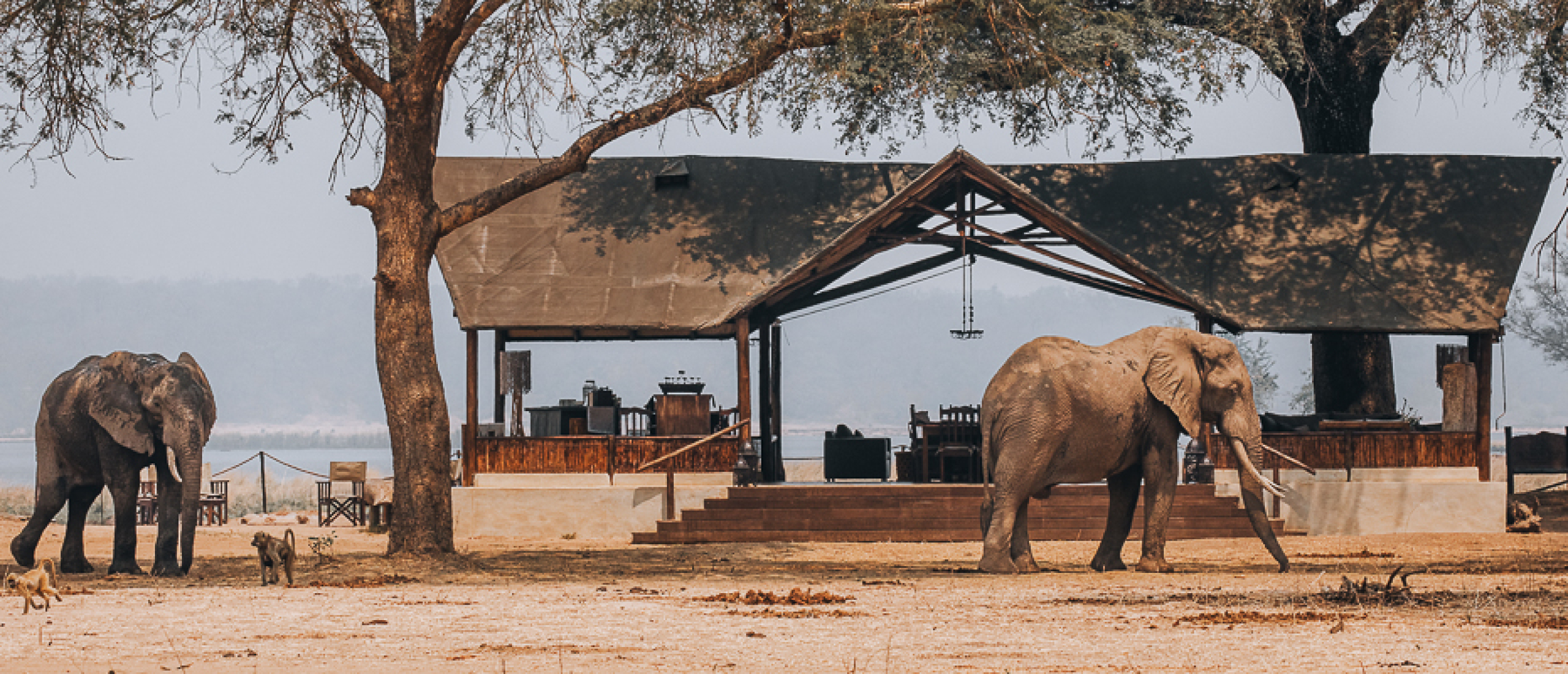11 Best places to stay for Safari in Zambia