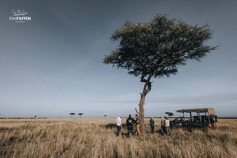 Bush Breakfast under balanite tree Maasai Mara