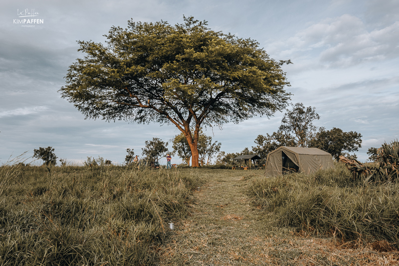 Bushwonderers Campsite Murchison Falls