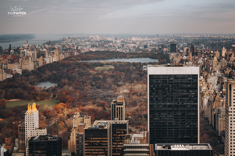 Central Park from Empire State Building