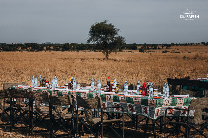 Bush Breakfast in Serengeti after Balloon flight