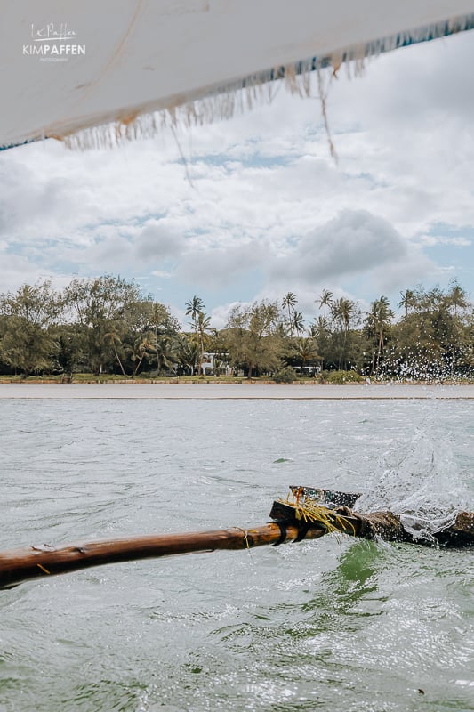 Turquoise waters and coastal forest at Diani Beach showcasing biodiversity