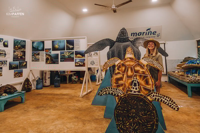 The Marine Education Center is part of the Diani Beach Conservation Efforts to protect sea turtles in Diani Beach