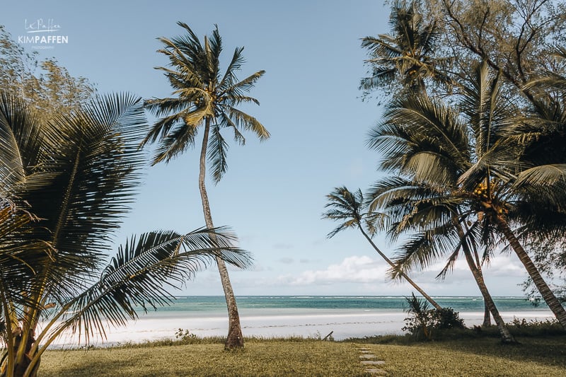 Empty stretch of Diani Beach highlighting authenticity and serenity