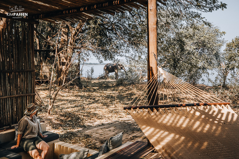 Elephants in Chiawa Camp Lower Zambezi Zambia