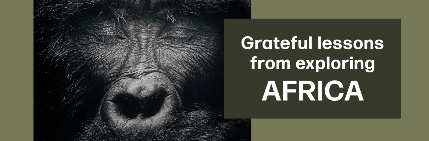 Exploring Africa: 6 Transformative Travel Experiences