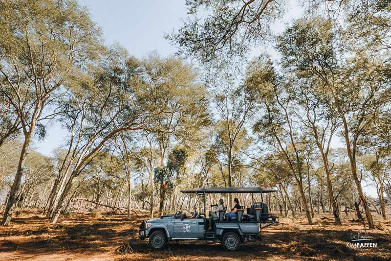 Fever Tree Forest in Makuleke Concession part of Kruger National Park