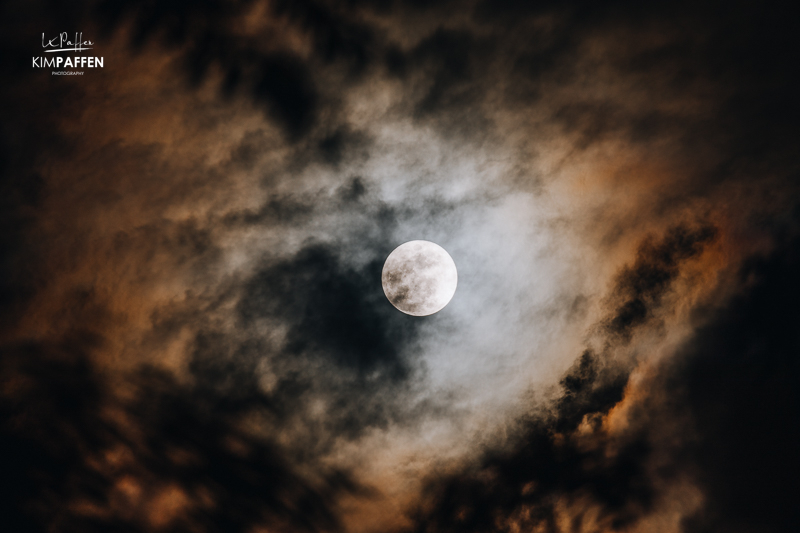 Full Moon on the Safari Guide Course in the Mara Training Center