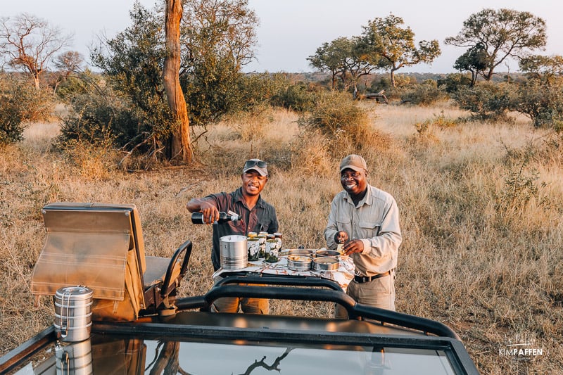 Thornybush Guide and Tracker on Game Drive