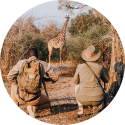 Giraffe on Walking Safari with Robin Pope Safaris Zambia