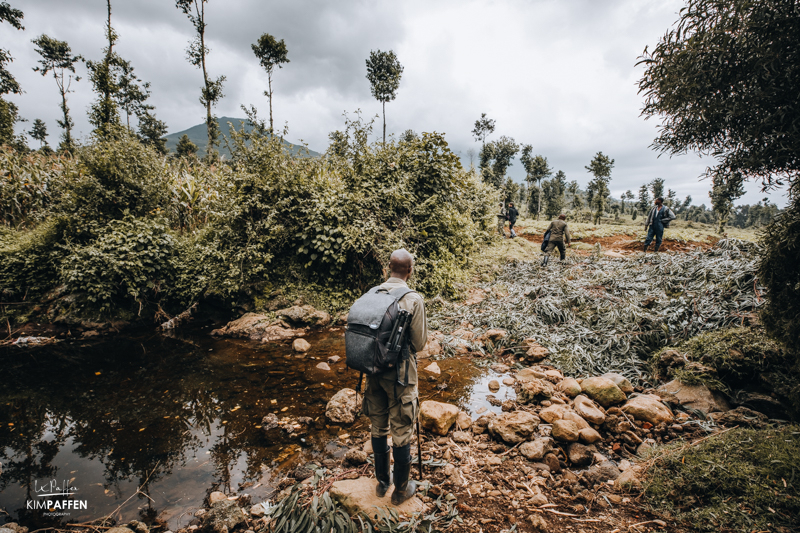 Hire a porter on Gorilla Trekking in Rwanda