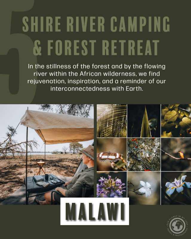 Forest Retreat and Shire River Camping in Malawi
