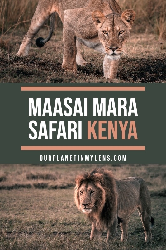 Guide to Maasai Mara safari in Kenya