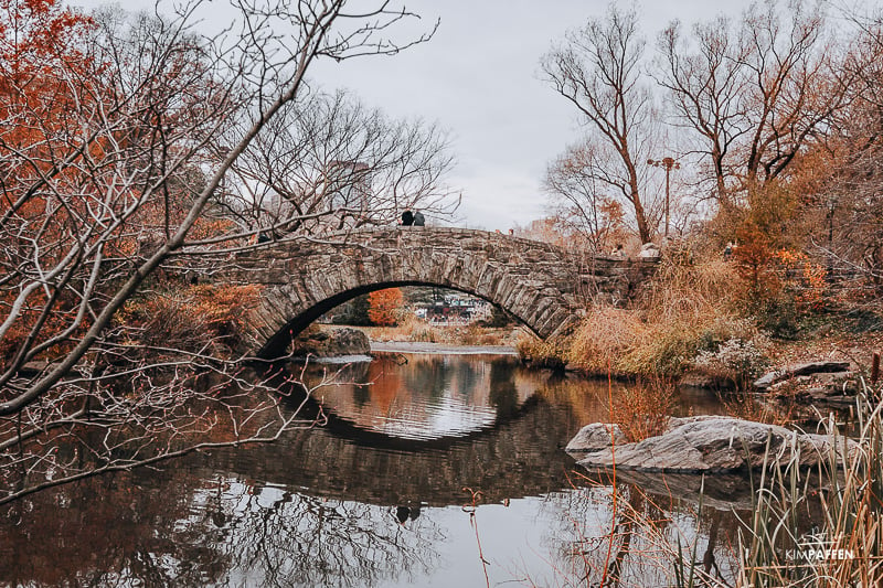 Bridge from Home Alone Central Park