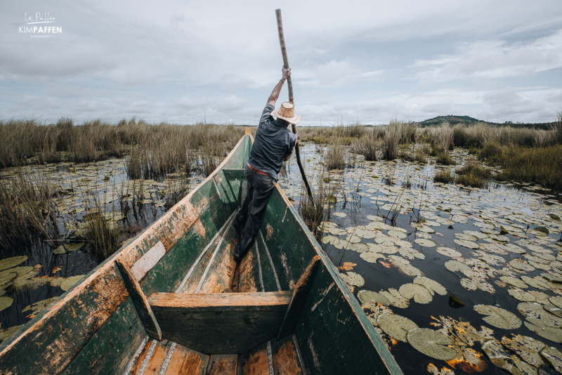 Mabamba Swamp Boat Tour