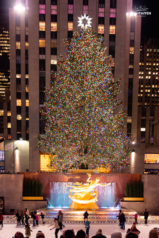 Ice rink rockefeller center christmas tree