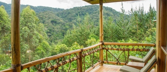 Place to stay for Gorilla Trekking in Bwindi Uganda