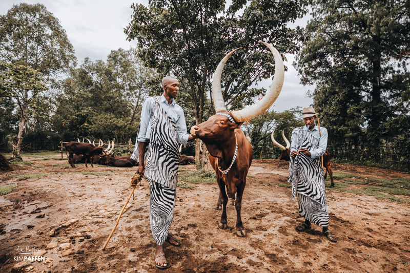Inyambo sacred cows Nyanza