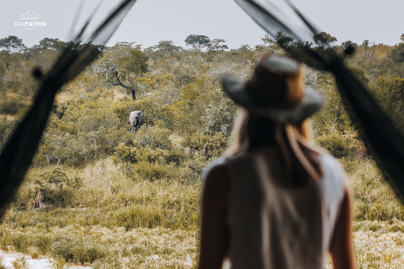 Accommodation Jock Concession Kruger National Park